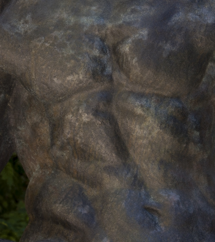 Download Mestorvick MaleTorso (700Wx785H)