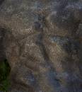 Mestorvick MaleTorso (700Wx785H) - Mestorvick Male Torso 2 - 2008 