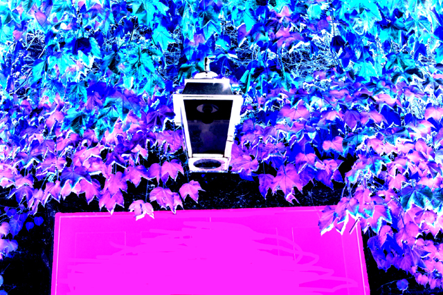 Download  (640Wx427H)
