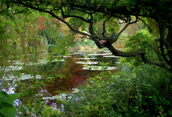 Download Monet's Garden (595Wx404H)