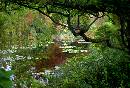 Monet's Garden (595Wx404H) - France - 2000 