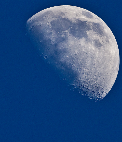 Download Moon Over Greenway (497Wx580H)