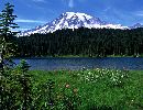 (585Wx452H) -  