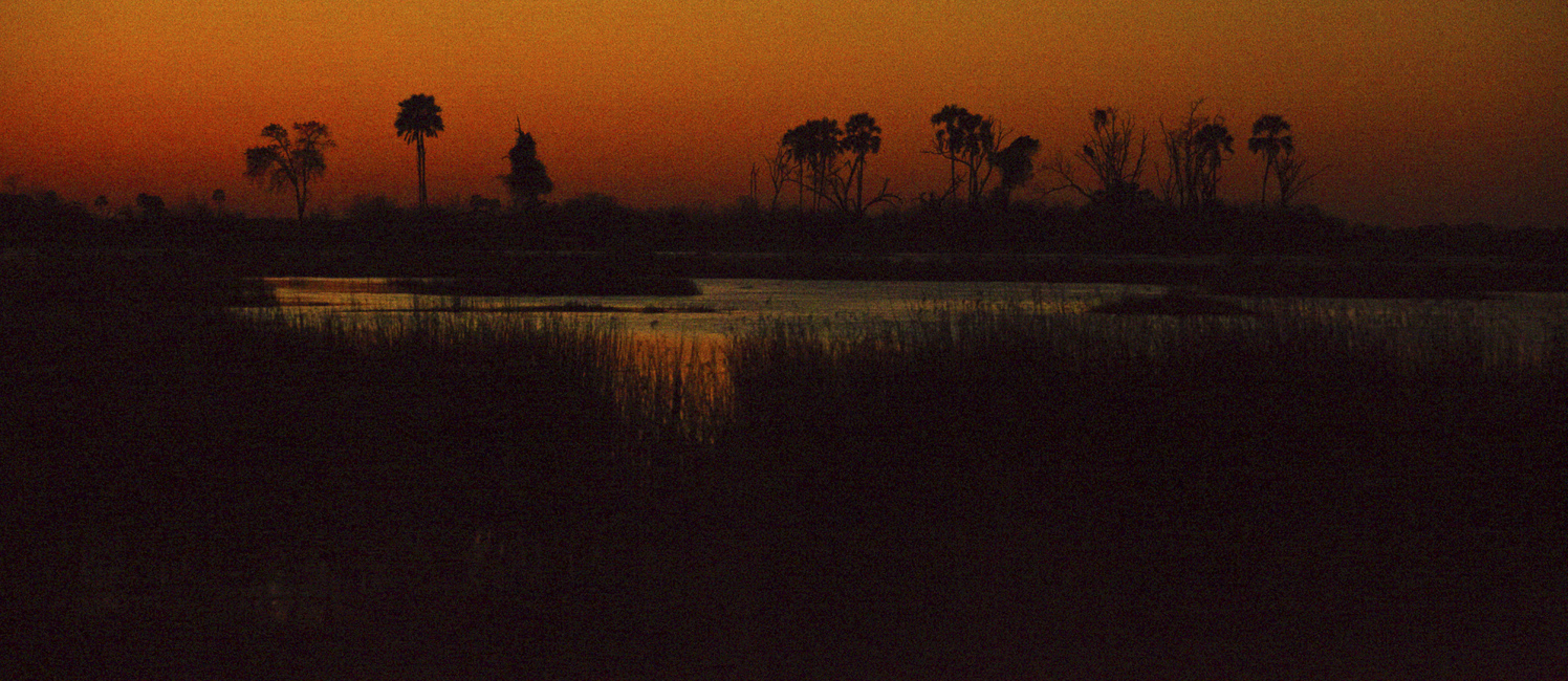 Download Nightfall in Africa (1496Wx650H)