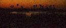 Nightfall in Africa (1496Wx650H) - Nightfall in Africa - Sundowner Time - 2010 