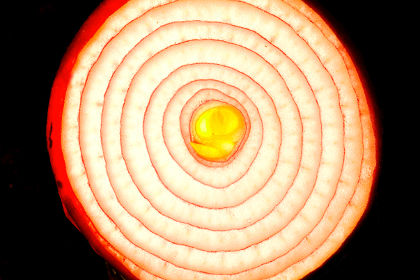 Download Onion (603Wx402H)
