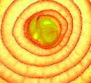 Onion Center (513Wx466H) - Center of the Universe - 2005 