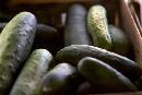 Cucumber (600Wx402H) - Cucumber - Market - Beufort - 2004 