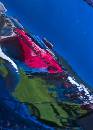 Race Car Reflection  (630Wx879H) - Race Car Reflection 3 - Amelia Island - 2008 
