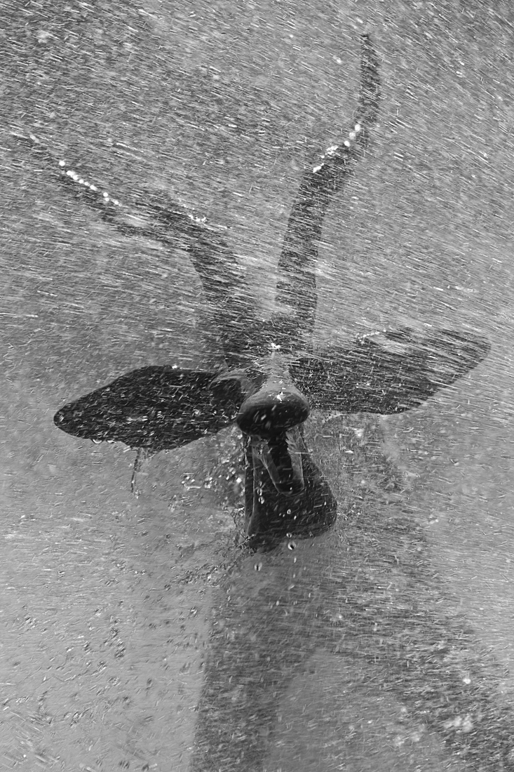 Download Raindeer in Fountain (733Wx1100H)