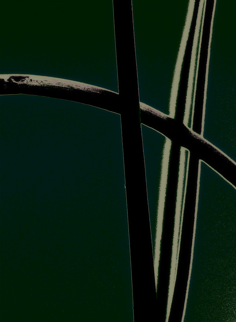 Download Reeds (805Wx1100H)