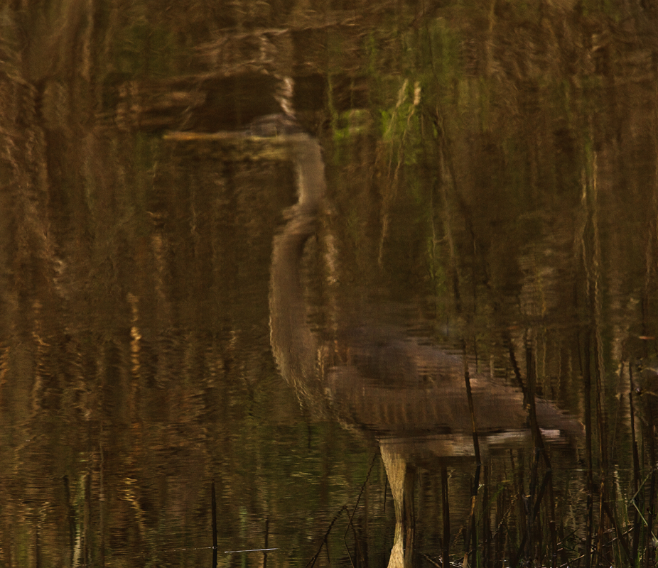 Download Reflection in Brown (926Wx800H)
