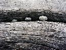 (585Wx445H) -  
