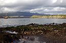  (700Wx456H) - Ship - Galapagos - 2002 