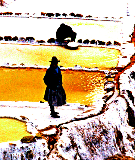 Download Woman & Man in Salt (448Wx530H)