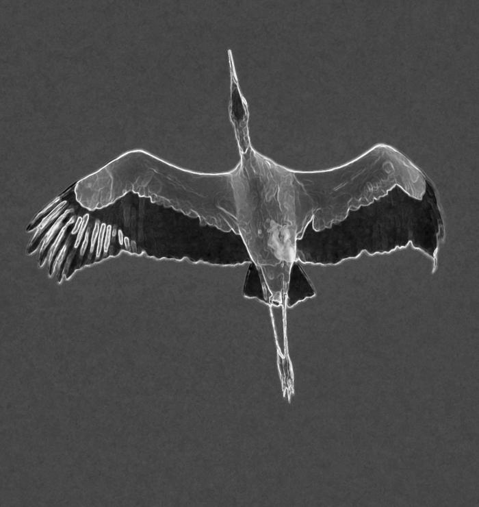 Download Flying SandCrane (700Wx740H)