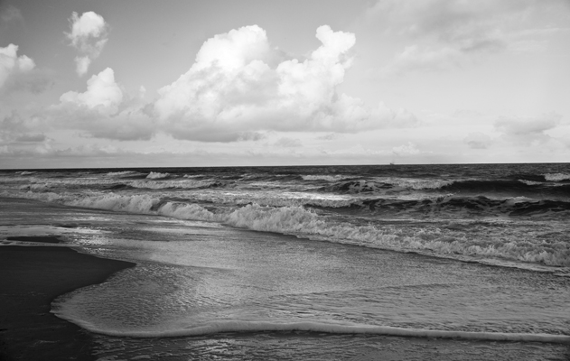 Download Sea Web (631Wx400H)