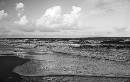 Sea Web (631Wx400H) - SeaScape - 2008 