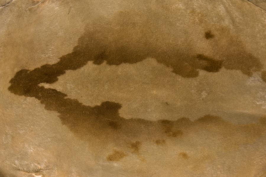 Download Sealskin Leanto (900Wx600H)