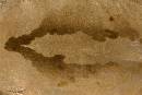 Sealskin Leanto (900Wx600H) - Sealskin Leanto Detail - Greenland - 2008 