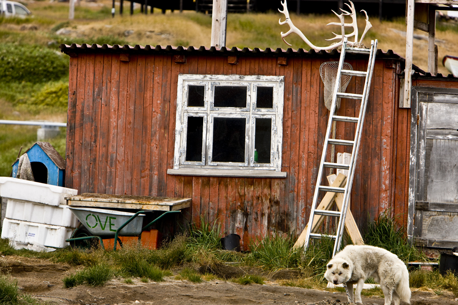 Download Shack with Antlers (900Wx600H)