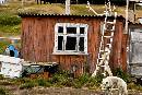 Shack with Antlers (900Wx600H) - Love Shack with Antlers - Greenland - 2008 