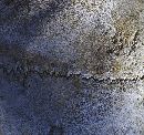  (550Wx515H) - Shell Detail - Galapagos - 2002 