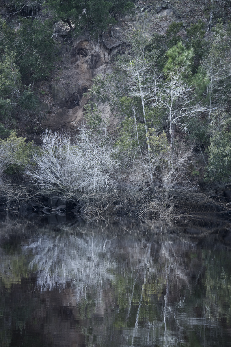 Download Silver Reflection (800Wx1200H)