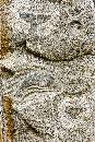 Stone 1 (600Wx900H) - Stone 1 - Carvings of Whale - Porpoise - Heart - Greenland - 2008 