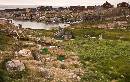 Sweeping View Town (900Wx568H) - Sweeping View of Town - Greenland - 2008 