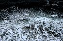  (800Wx521H) - The Sea: Carmel 2002 