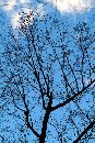  (405Wx608H) -  