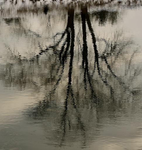 Download Water Reflections (486Wx512H)