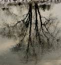 Water Reflections (486Wx512H) - Reflections from New Hope - Lambertville Bridge - 2005 