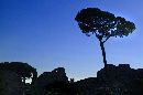  (680Wx451H) - Rome - 2002 
