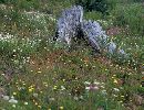  (585Wx452H) -  