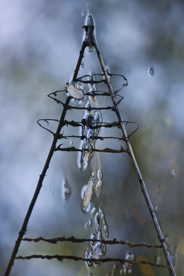 Download Nature's Triangle (600Wx900H)