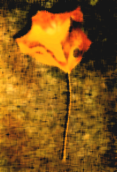 Download Turning Leaf (1800Wx2646H)
