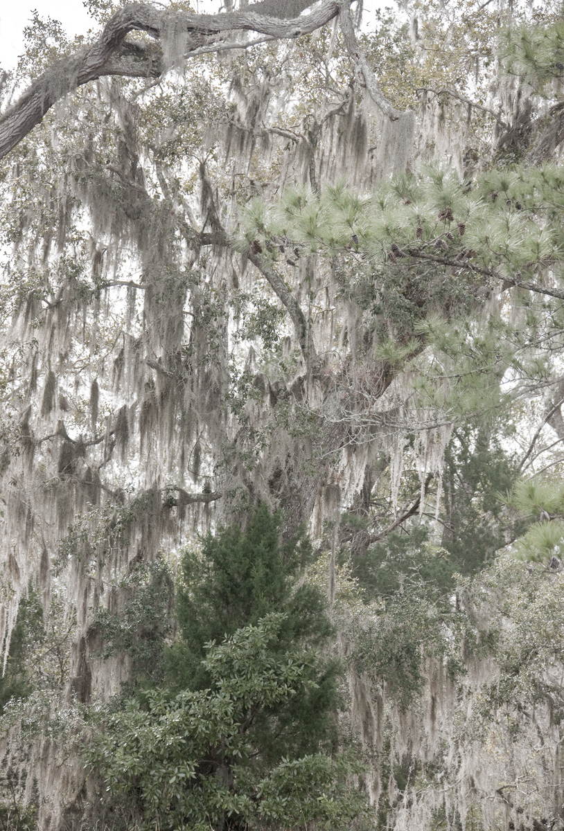 Download Unearthly Beauty (814Wx1200H)