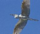 Valkarie 2 (1070Wx900H) - Valkarie 2 - Amelia Island - 2010 