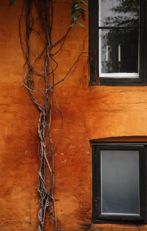 Download Wall in Courtyard (500Wx785H)