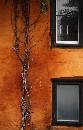 Wall in Courtyard (500Wx785H) - Wall in Courtyard - Copenhagen - 2008 