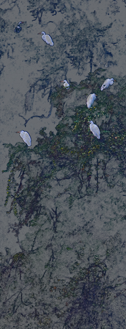 Download White Birds Perching (430Wx1123H)