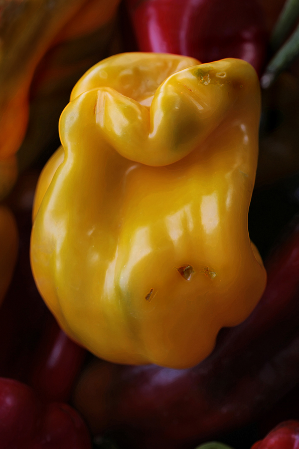 Download Yellow Pepper 2 (600Wx900H)