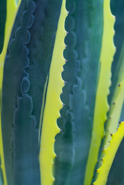 Download  (400Wx598H)