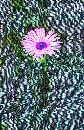  (322Wx500H) -  