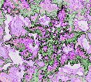 Foral Detail (555Wx500H) - No artist can match this! 