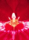  (368Wx500H) -  