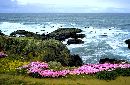  (762Wx500H) - Ireland 
