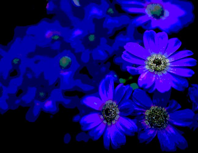 Download Feeling Blu? (647Wx500H)